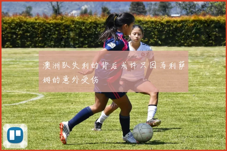 澳洲队失利的背后或许只因马利萨姆的意外受伤